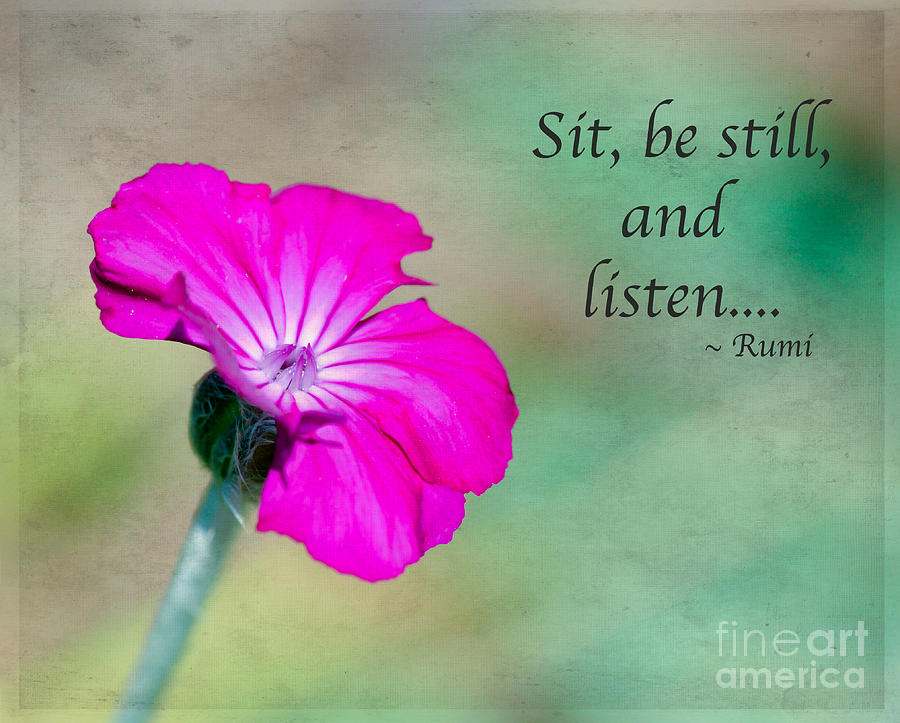 Words from Rumi Photograph by Kerri Farley