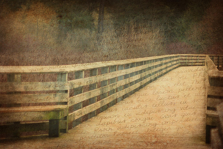 Words in a Dream Photograph by Marilyn Wilson