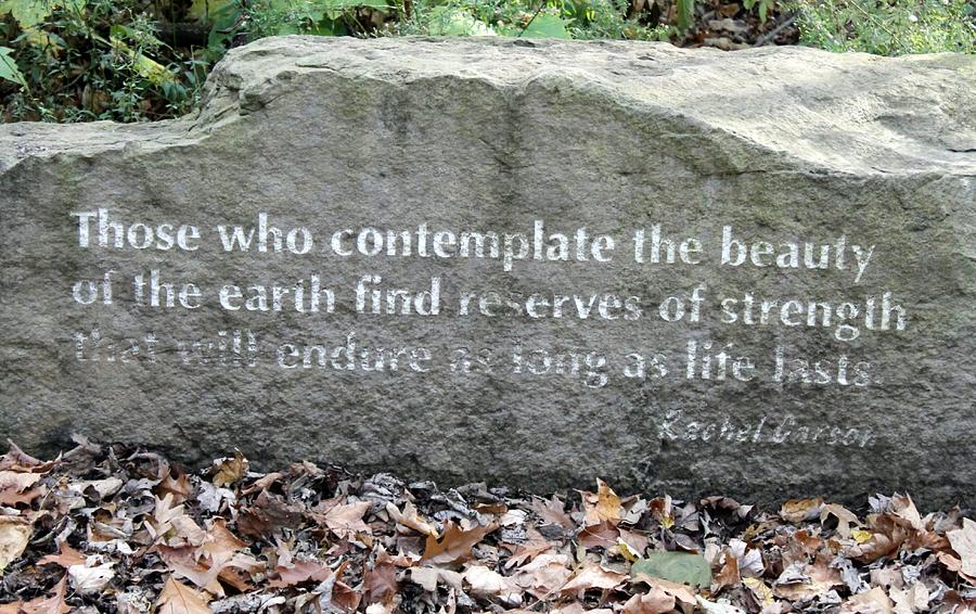 Words On A Rock Photograph