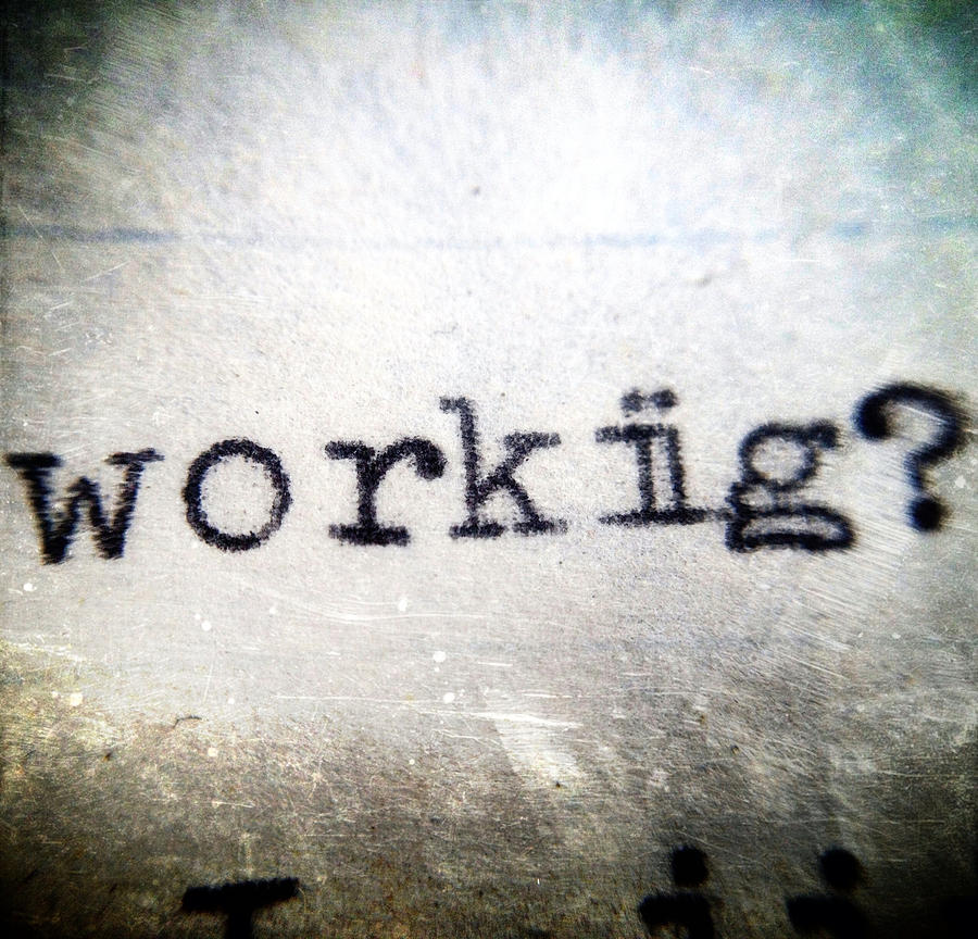 Workiig? Photograph by Natasha Marco
