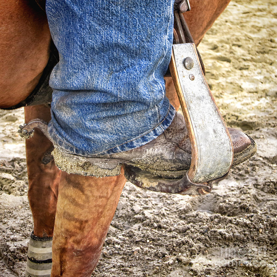 Working Boot Photograph by Olivier Le Queinec