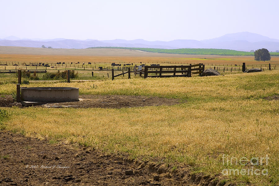 Working Cattle Ranch Photograph by Richard J Thompson 