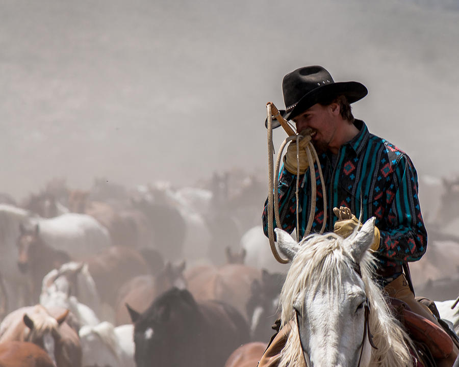 Working Cowboy Photograph by John McArthur - Pixels