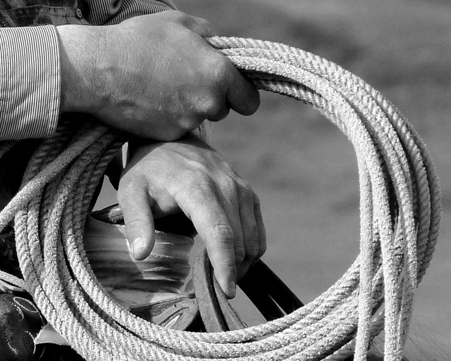 Rope Photograph - Working Mans Hands by Carla Froshaug