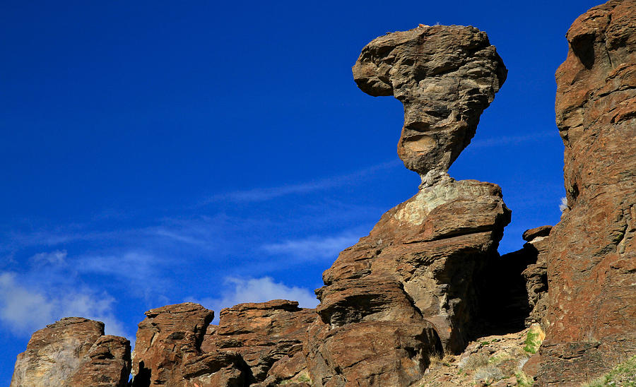 World Famous Balanced Rock Photograph by Ed Riche