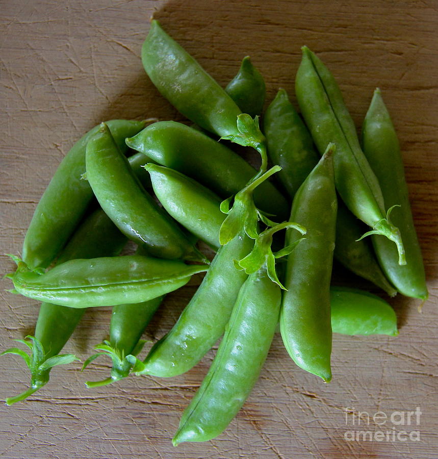 Whirled Peas  Photograph by Suzanne Oesterling
