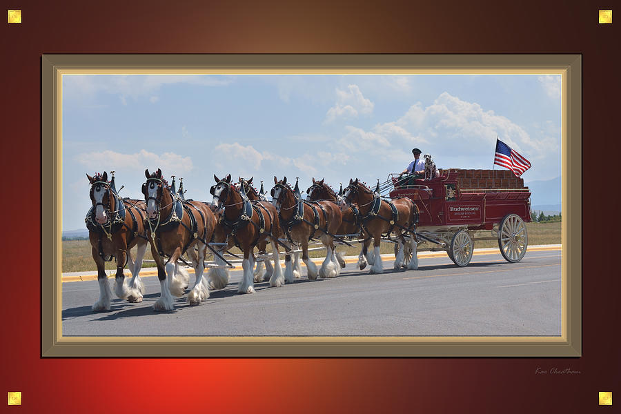 World Renown Clydesdales Photograph by Kae Cheatham