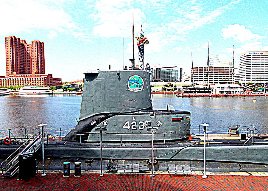 Baltimore Photograph - World War II USS Torsk SS 423 by Pamela Hyde Wilson