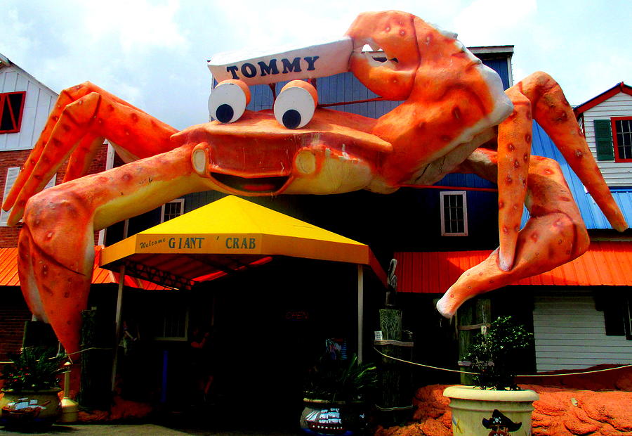 Worlds Largest Crab Photograph by Randall Weidner