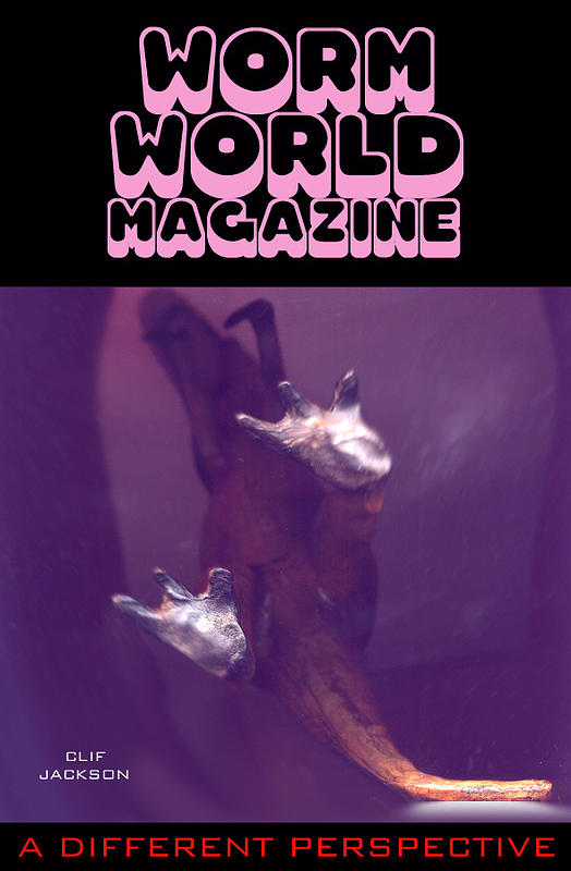 Worm Digital Art - Worm World by Clif Jackson