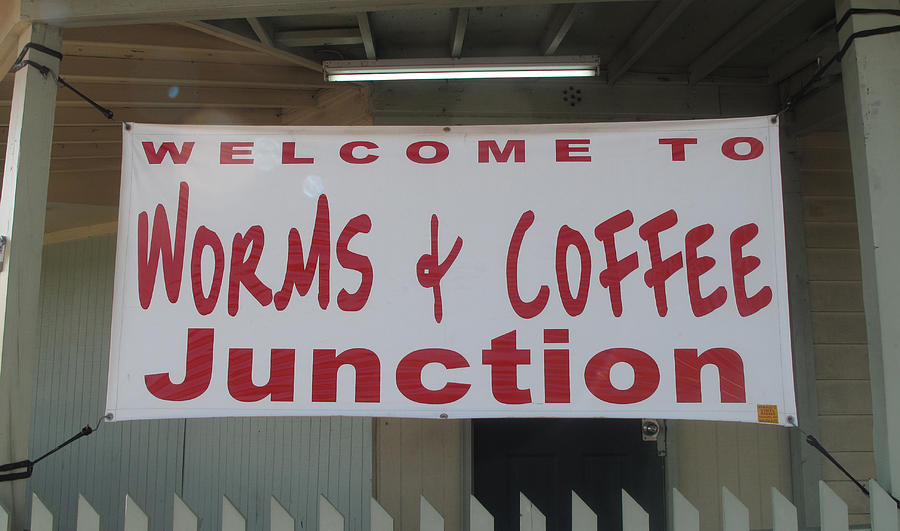 Worms and Coffee Junction Photograph by Barbara McDevitt