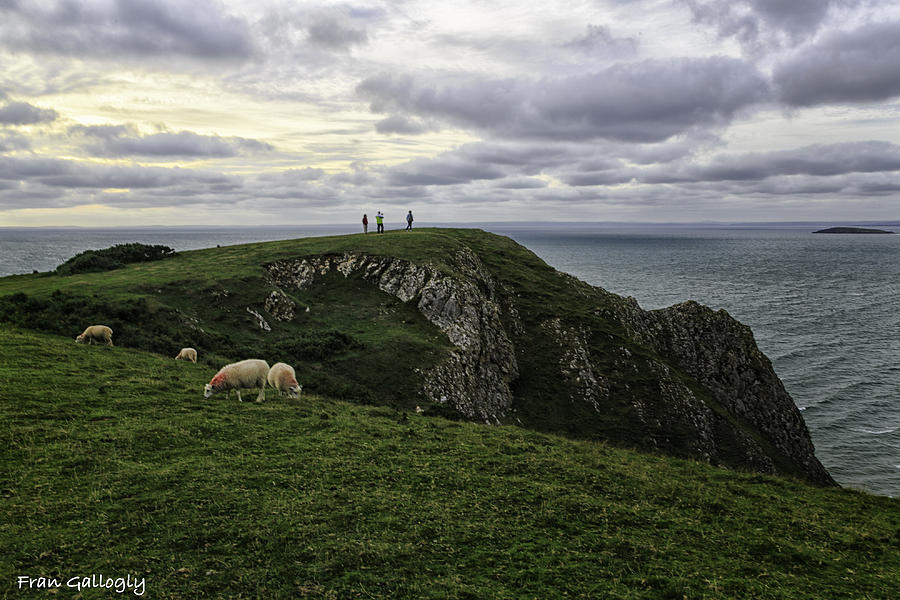 Worms Head View Photograph by Fran Gallogly