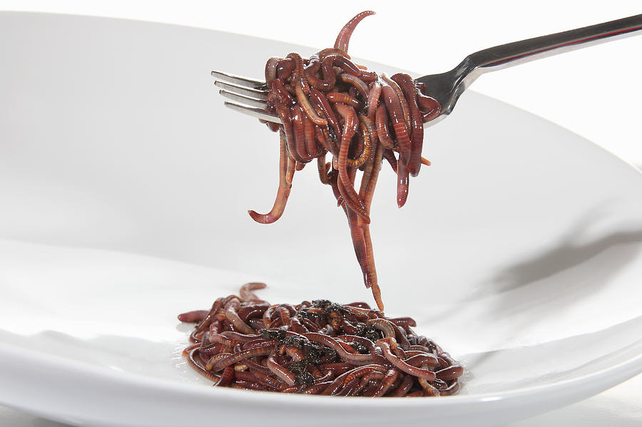 Worms on fork and plate Photograph by Gerhard Egger