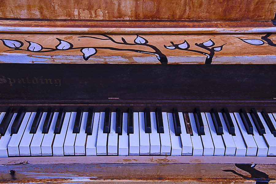 Piano Photograph - Worn Funky Piano by Garry Gay