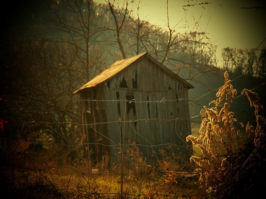 Worn Out Shed Photograph by Joyce Kimble Smith