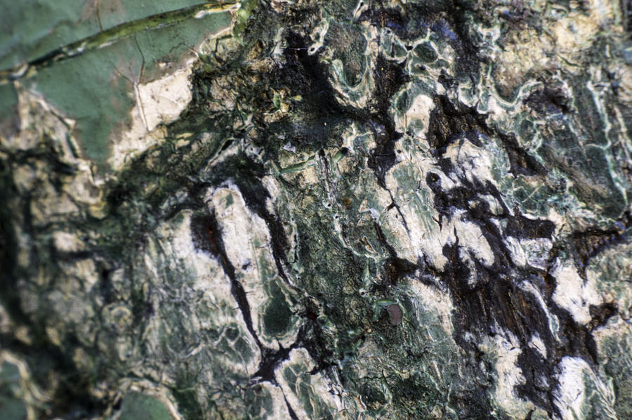 Detail Photograph - Worn Porch by Nathan Seavey Detail Photograph - Worn Porch by Nathan Seavey