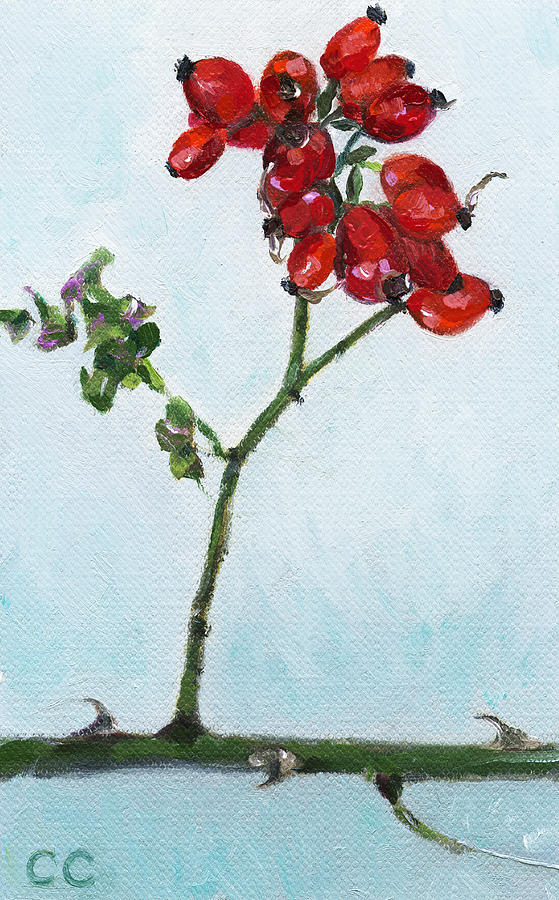 Music Painting - Worplesdon Rosehips by Catherine Considine