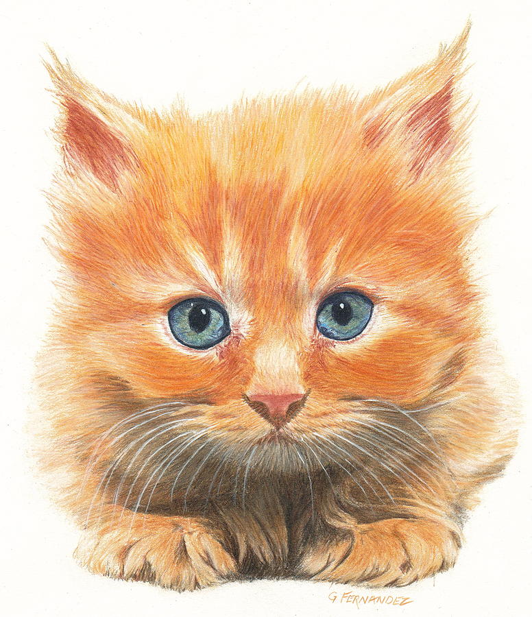 Cat Drawing - Wot you lookin at by Gary Fernandez