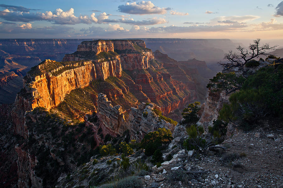 Grand Canyon National Park Photograph - Wotans Throne by Guy Schmickle
