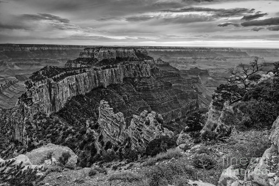 Wotans Throne North Rim Grand Canyon National Park - Arizona Photograph by Silvio Ligutti