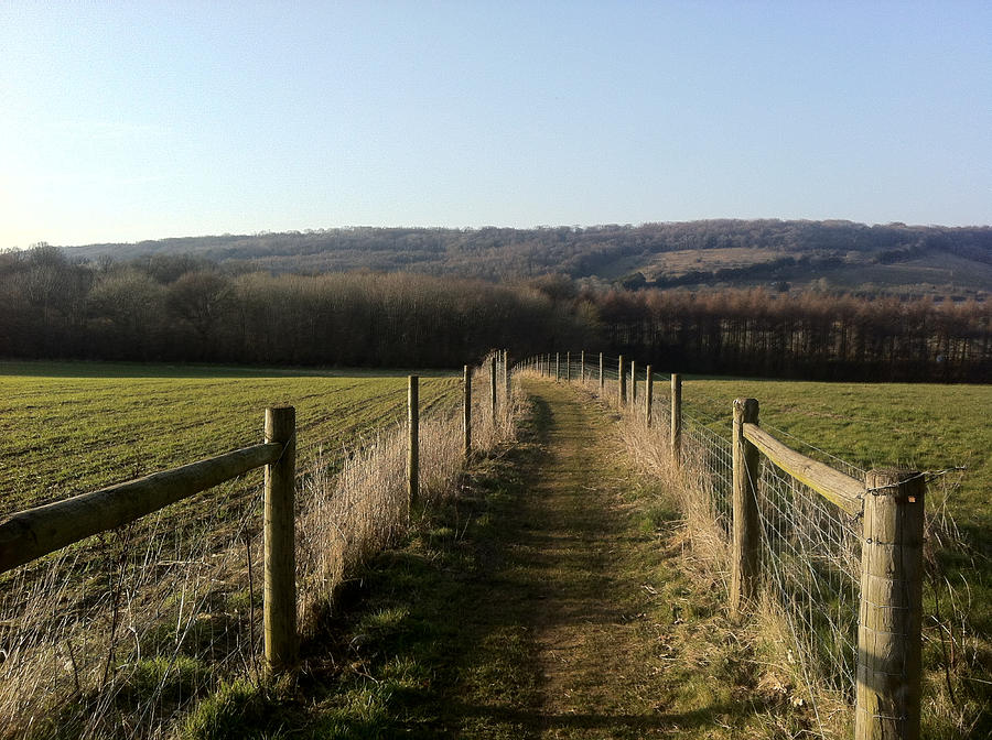 Nature Photograph - Wotton Country Side by Clare Burse