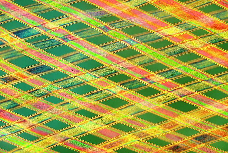 Woven Horse Hair Photograph by Steve Lowry/science Photo Library