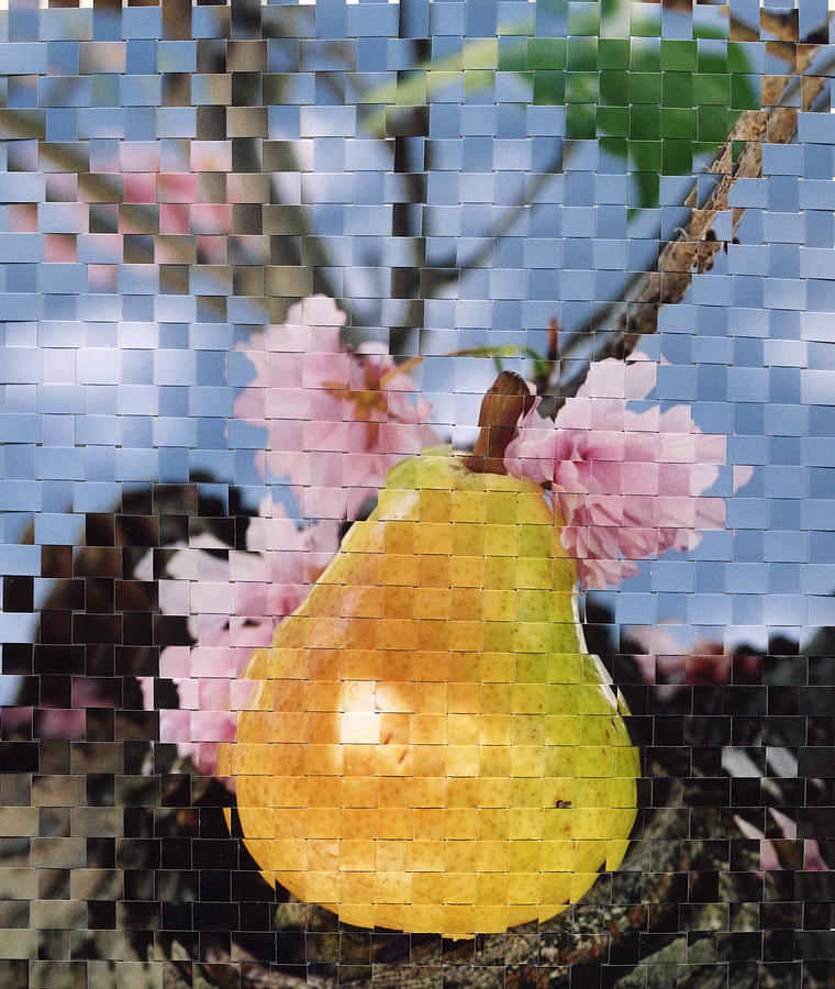 Woven Pear Photograph by Valerie Brown