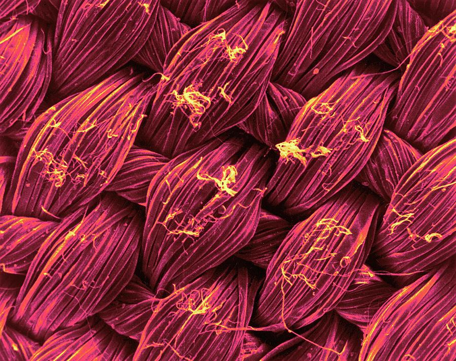 Woven Silk Fibres Photograph by Science Photo Library Woven Silk Fibres Photograph by Science Photo Library