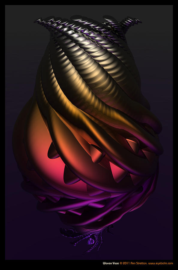 Woven Vase  Digital Art by Ann Stretton