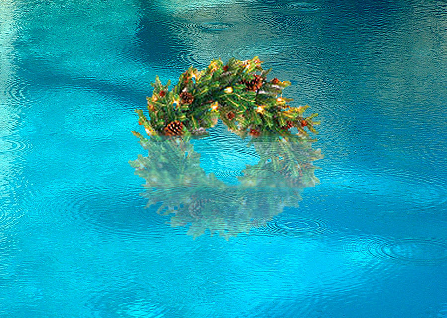 Wreath in the Pool Digital Art by Stan  Magnan