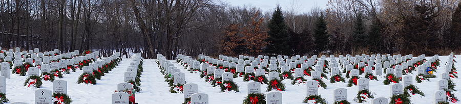Wreaths For The Fallen Photograph by Steven Clipperton