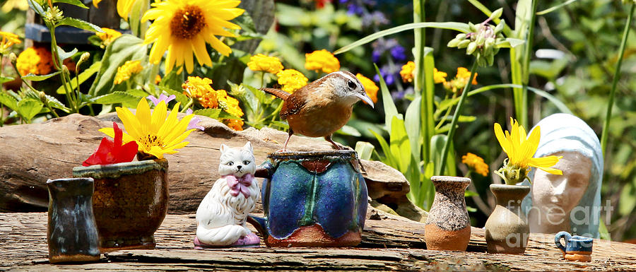 Wren Bird and Tea Cup and Flowers Photograph by Luana K Perez