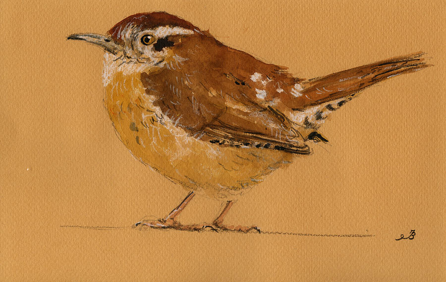 Wren Painting - Wren bird by Juan  Bosco