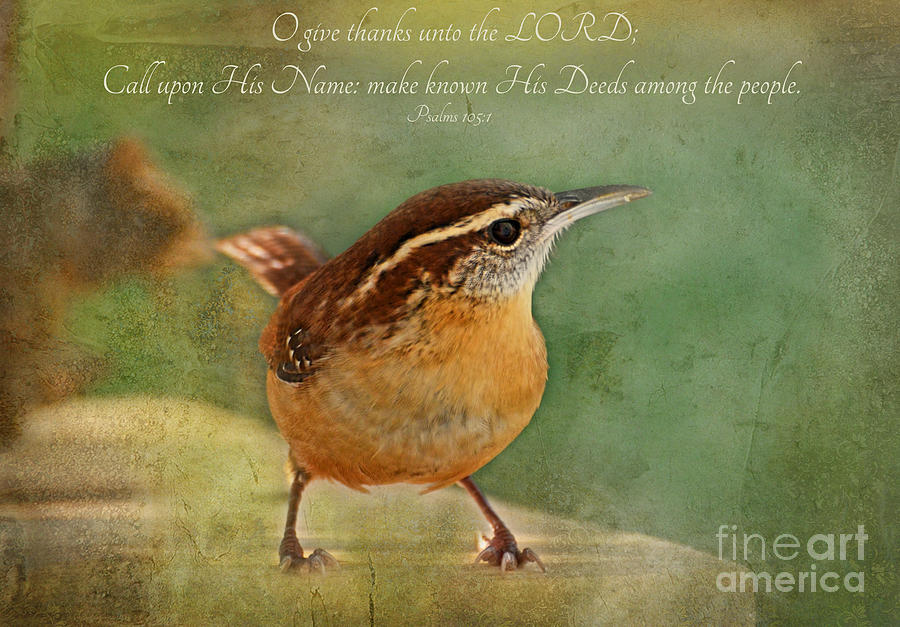 Wren with verse Photograph by Debbie Portwood
