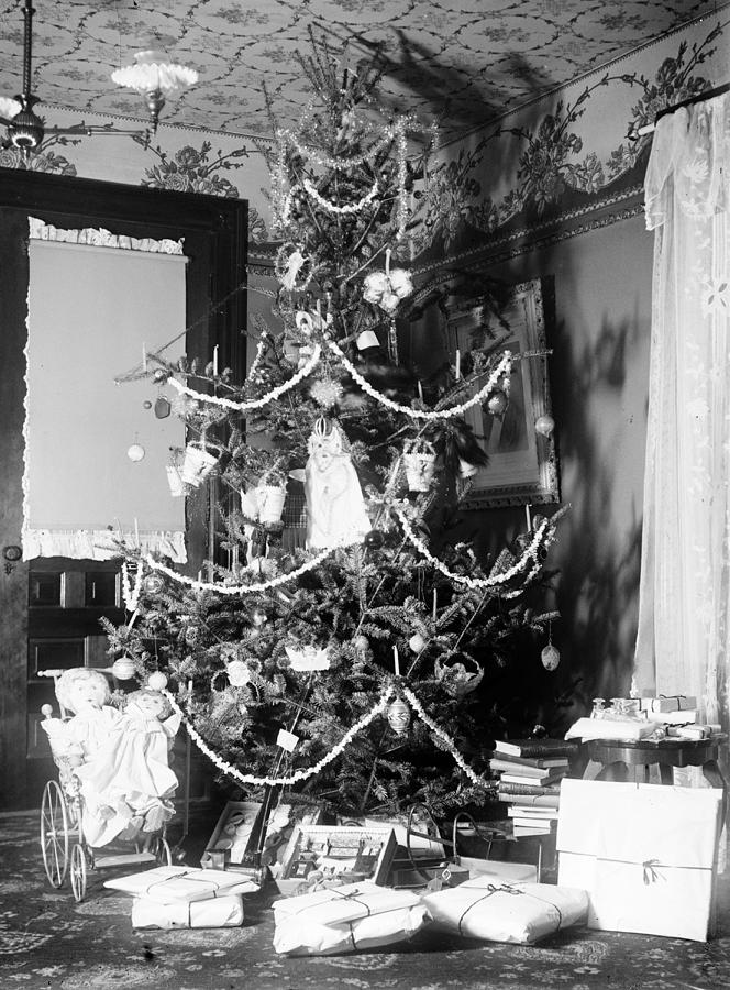 Wright Brothers Christmas Tree, 1900 Photograph by Science Source
