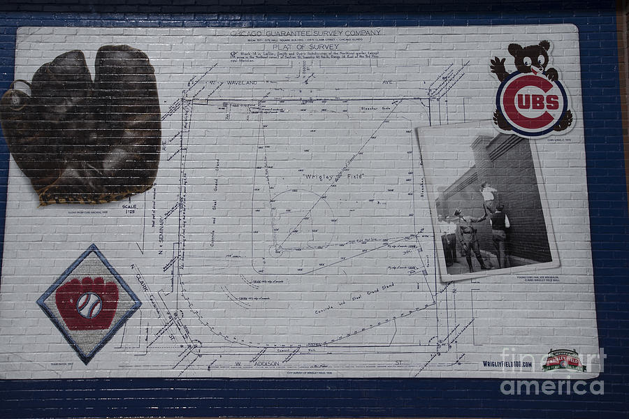 Chicago Cubs Photograph - Wrigley Field - Plat of Survey by David Bearden