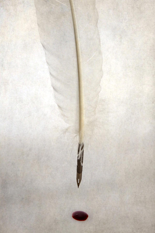 Feather Photograph - Writing With Blood by Joana Kruse