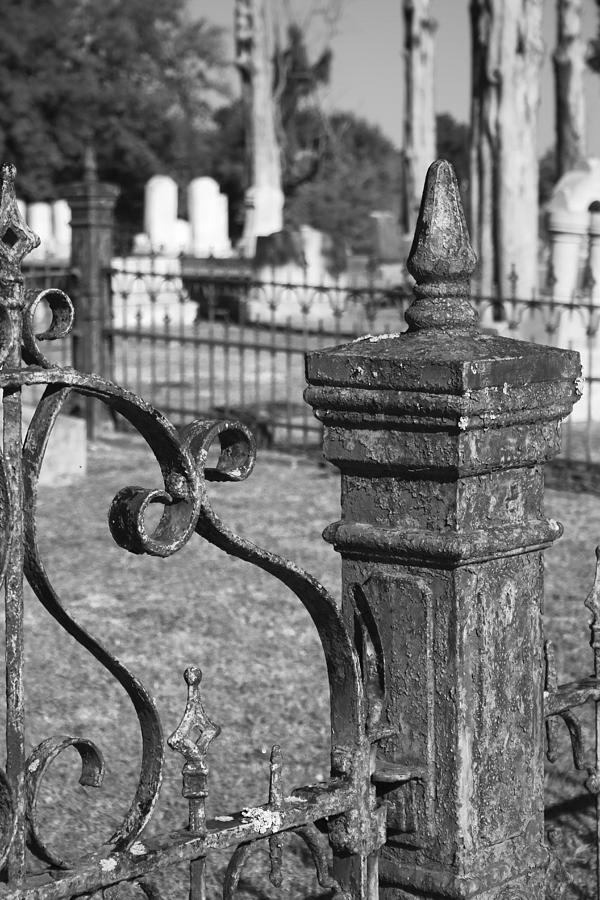 Wrought Iron Artistry in Black and White Photograph by Kathy Clark