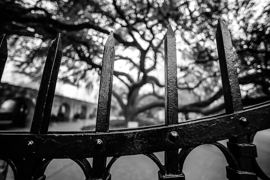 Wrought Iron Photograph by David Downs
