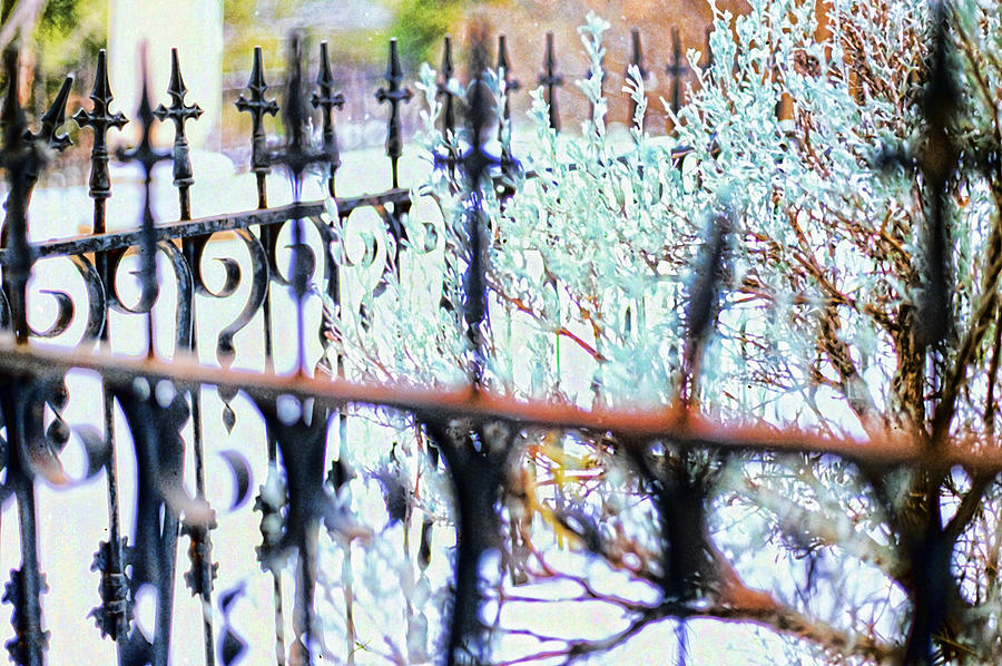 Wrought Iron Fence abstract  Photograph by Cathy Anderson