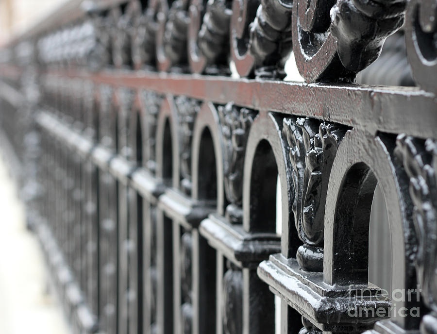 Wrought Iron Fence Photograph