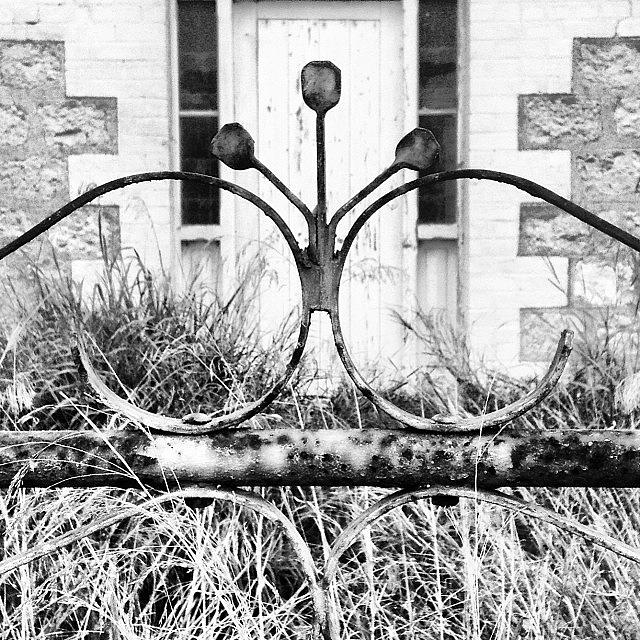 Town Photograph - Wrought Iron Gate #moonta #historic by Dayna Johnson
