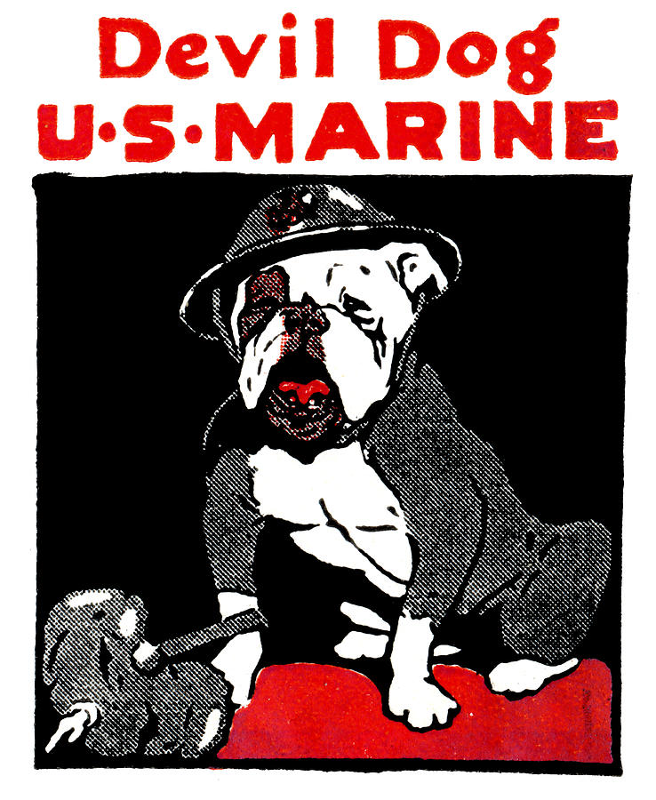 WWI Marine Corps Devil Dog. 
