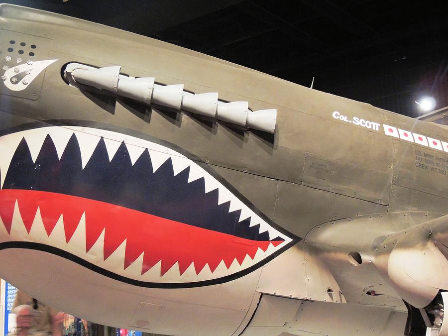 WWII Shark Photograph by Aaron Martens