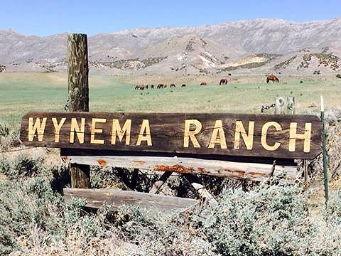 Wynema Ranch Sign Photograph by Wynema Ranch Wynema Ranch Sign Photograph by Wynema Ranch