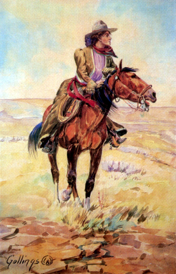 Wyoming Cowgirl, 1907 Painting by Science Source