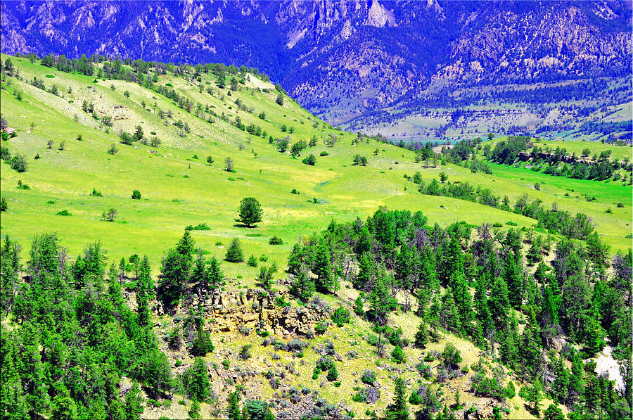 Wyoming Hillside Photograph by Lisa Holland-Gillem