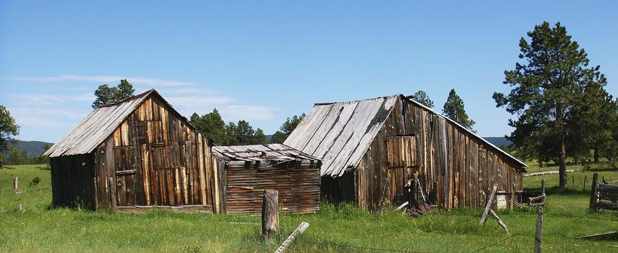 Wyoming Homestead Photograph by William Hallett - Fine Art America