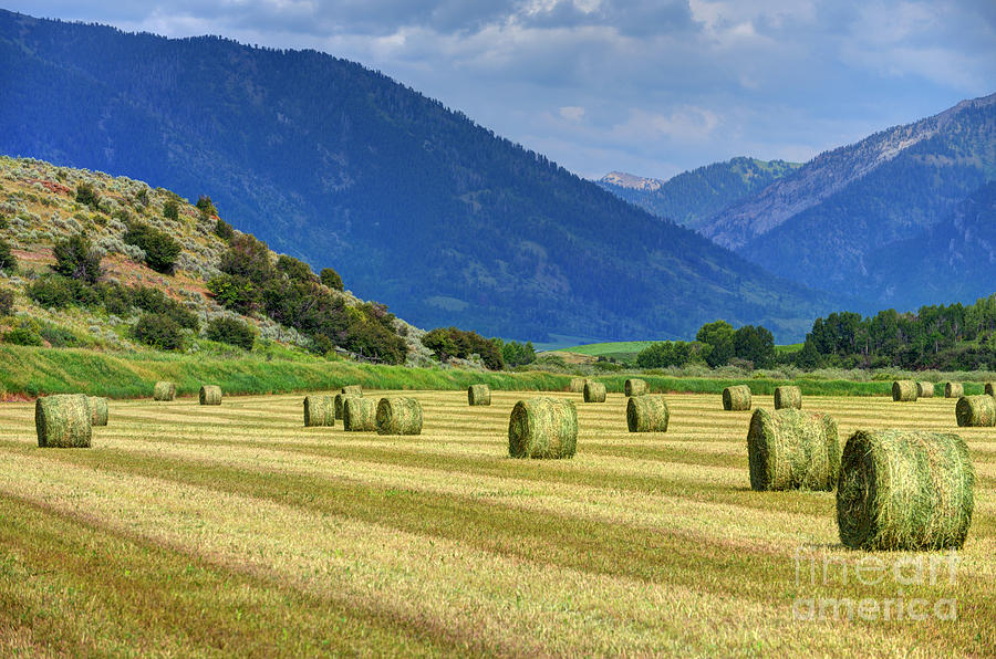 Wyoming Mountain Hay Farm Photograph by Gary Whitton