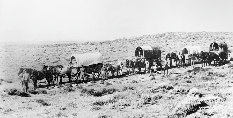 Wyoming Wagon Train Photograph by Granger